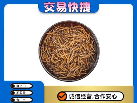 安阳市礼品回收虫草.jpg